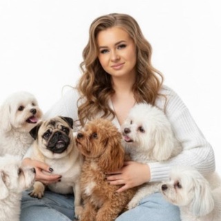 Telegram profile photo for Зоосалон Рич🐾 Белгород