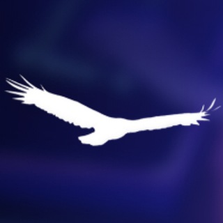 Telegram profile photo for «Пророческий взгляд» с пастором Денисом Орловским