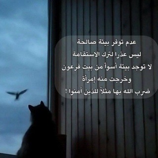 Telegram profile photo for نَبـعُ الإيمَـاَن