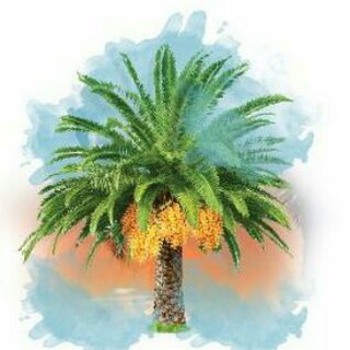 Telegram profile photo for Kampoeng Kurma Jonggol Official