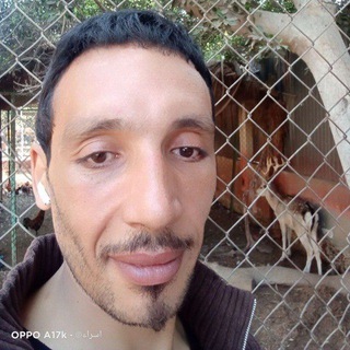 Telegram profile photo for احمد سحلول