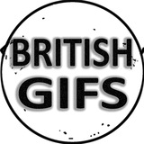 Telegram profile photo for britishgif