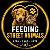 Telegram profile photo for Feeding Street Animals