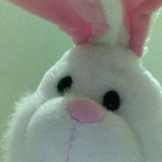 Telegram profile photo for 🤍🐇𝐶𝑜𝑛𝑡𝑒𝑠𝑡𝑠 𝑓𝑜𝑟 𝑏𝑢𝑛𝑛𝑖𝑒𝑠🐇🤍