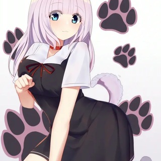 Telegram profile photo for 恩客評價專區