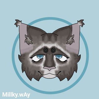 Telegram profile photo for ⋆ᴄᴛᴀя ᴀйᴩы⋆