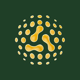 Telegram profile photo for Aki Network Official