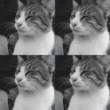 Telegram profile photo for Archive Pabriks