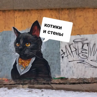 Telegram profile photo for котики и стены