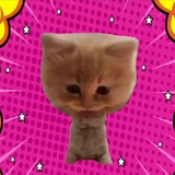 Telegram profile photo for PUMPCAT PORTAL