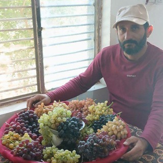 Telegram profile photo for انگورکاران ایران