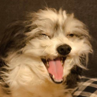 Telegram profile photo for Арбуз хаваю`|92|`