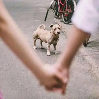 Telegram profile photo for 热点恋综|奇葩情侣|变态剧情💥