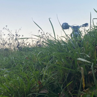 Telegram profile photo for passion for motorcycles