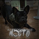 Telegram profile photo for агрессивное место