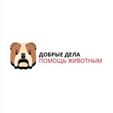 Telegram profile photo for Добрые Дела