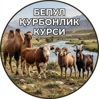 Telegram profile photo for БEПУЛ ҚУРБОНЛИК КУРСИ