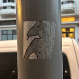 Telegram profile photo for кочевники