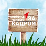Telegram profile photo for За Кадром | Новости Первых