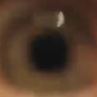 Telegram profile photo for videosos