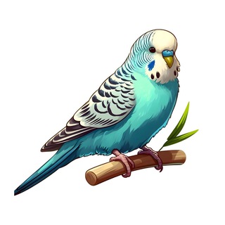 Telegram profile photo for Попугаи