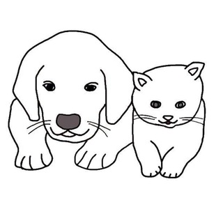 Telegram group profile photo for Хочу домой 🐕🐈 (Путилково)