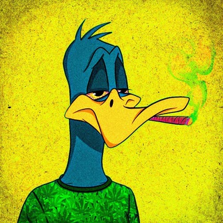 Telegram profile photo for Yourdek Alpha