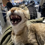 Telegram profile photo for уауа