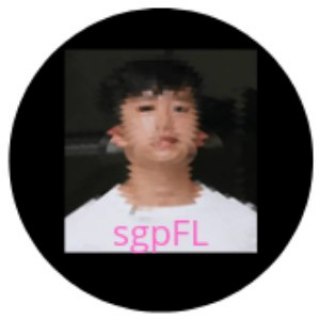 Telegram group profile photo for sgpFL