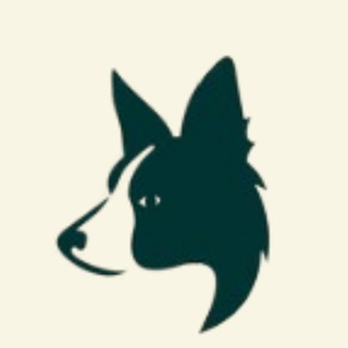 Telegram profile photo for 边牧小分队