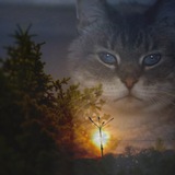 Telegram profile photo for Жизнь хороша!