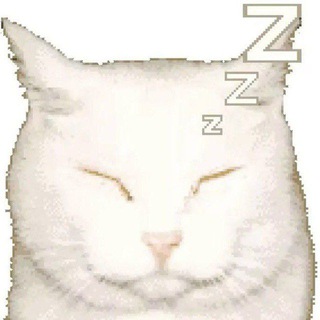 Telegram profile photo for ㅤ 