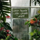 Telegram profile photo for رَآنَ. 𓂆