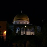 Telegram profile photo for على بصيرة"•
