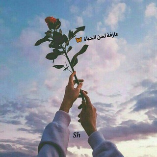 Telegram profile photo for عازفة لحن الحياة🦋