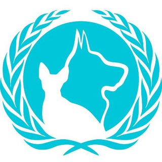 Telegram profile photo for Вет клиника "Рекс" 🐈⬛️🐩🐇🦝🐁🦎🐢🐍 канал