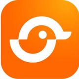 Telegram profile photo for 光鸭云盘资源频道
