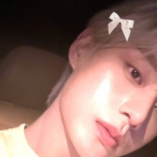 Telegram profile photo for latte kittens ; 뿌삼즈
