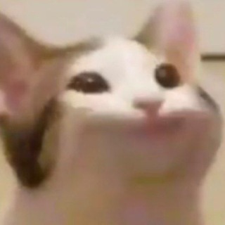 Telegram profile photo for shitpost status
