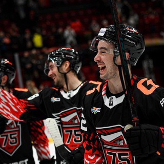 Telegram profile photo for ОПГ OMSK HAWKS