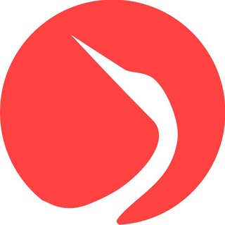 Telegram profile photo for Dornaweb طراحی وبسایت درناوب