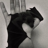 Telegram profile photo for П3Р3Х0ДНИК