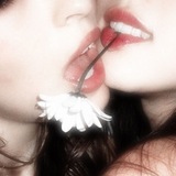 Telegram profile photo for love cherry motion