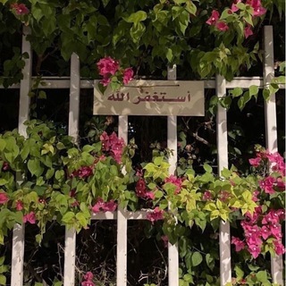 Telegram profile photo for مسك | MSK⧼