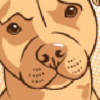 Telegram profile photo for BeastH News