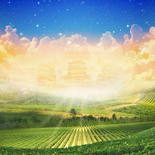 Telegram profile photo for 我们的家园※华人资讯互动交流中心