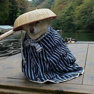 Telegram profile photo for публичный канал марии б
