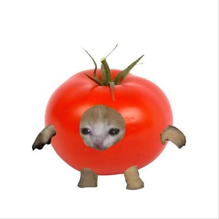 Telegram profile photo for TomatoTCG Claims!