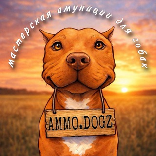 Telegram profile photo for AMMO.DOGZ | Амуниция для собак