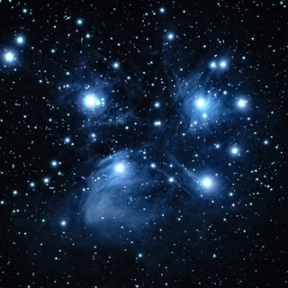Telegram profile photo for The Awakened